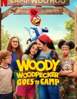 Chim gõ kiến Woody đi trại hè Vietsub - HD