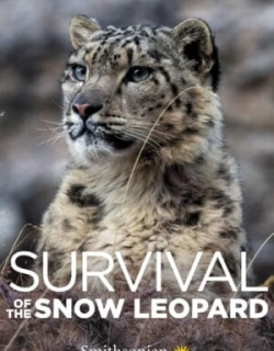 Survival Of The Snow Leopard Vietsub - HD