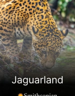 Jaguarland Vietsub - HD