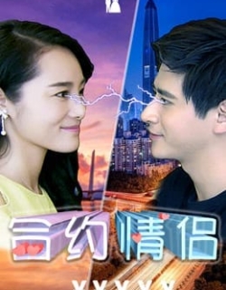 Hợp đồng tình nhân Vietsub - HD