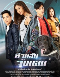 Điệp Viên Săn Mùi Vietsub - HD