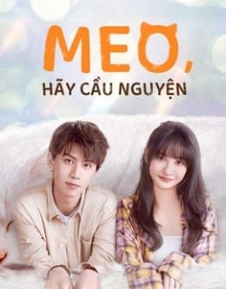 Meo, Hãy Cầu Nguyện Vietsub - HD