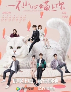 Bất Cẩn Meow Phải Anh Vietsub - HD