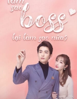 Làm Sao, Boss Lại Làm Sao Nữa Vietsub + Thuyết minh - HD