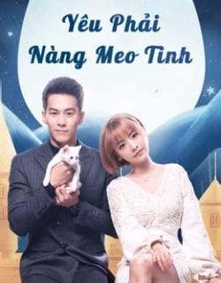 Yêu Phải Nàng Meo Tinh Vietsub - HD