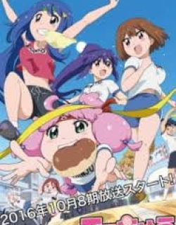 Teekyuu 8