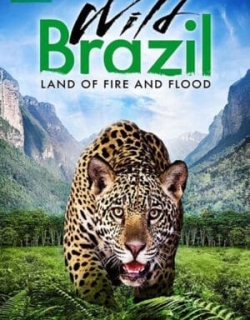 Thiên Nhiên Brazil Hoang Dã Vietsub - HD