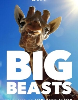 Big Beasts Vietsub - HD