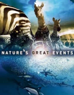 Nature’s Great Events Vietsub - HD