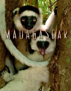 Madagascar 2011 Vietsub - HD