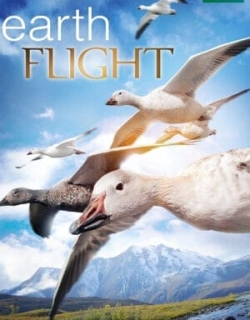 Earthflight Vietsub - HD