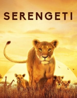 Serengeti Vietsub - HD