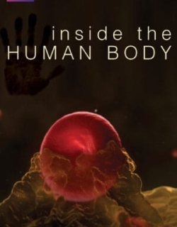 Inside the Human Body Vietsub - HD